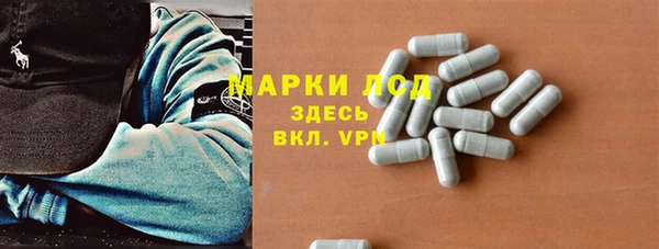 стаф Бородино