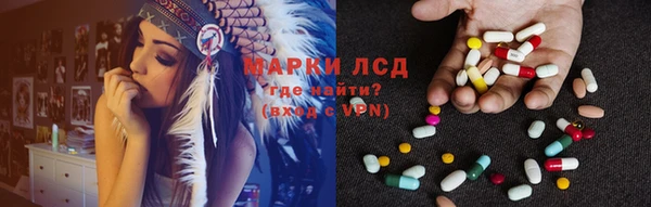 стаф Бородино