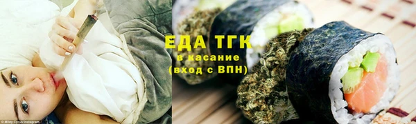 стаф Бородино