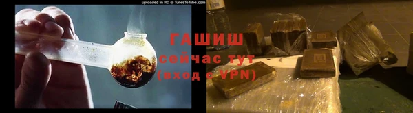 стаф Бородино