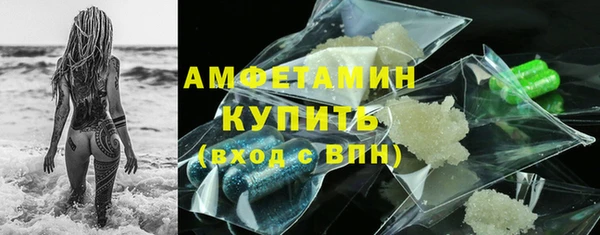 стаф Бородино